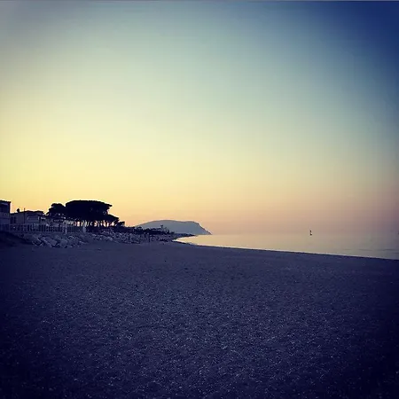 La Pineta Campeggio *