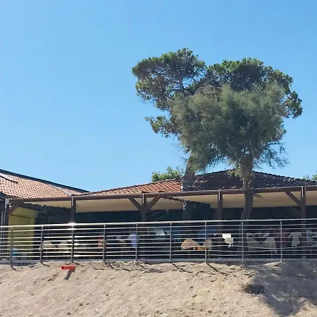 Campeggio La Pineta *