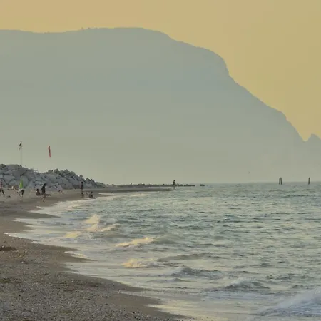 La Pineta Camping