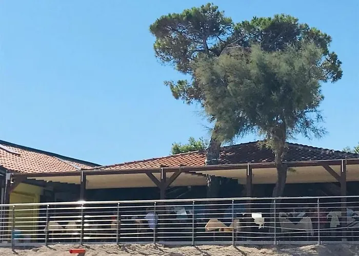 Κάμπινγκ La Pineta *