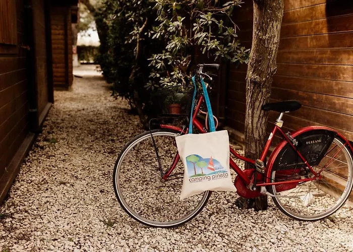 Κάμπινγκ La Pineta *